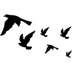 Bird Silhouette Vector