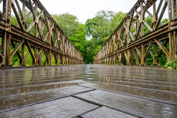 Tuinposter Old truss bridge over Sazava River, Czechia © pyty