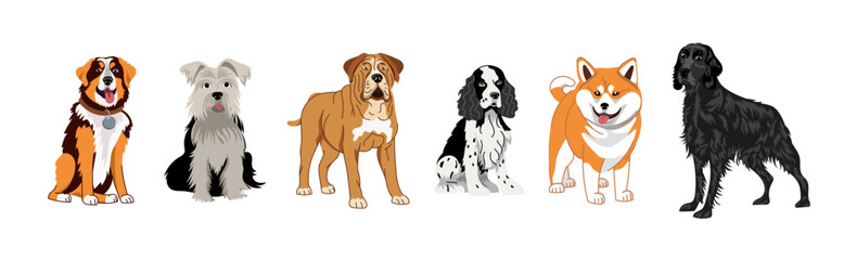 A set of dogs of different breeds. Vector illustration on a white background of a Setter, spaniel, terrier, mastiff, shiba inu, akita.