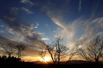 Fototapeta premium 雲から顔を出す夕日と木々のシルエット