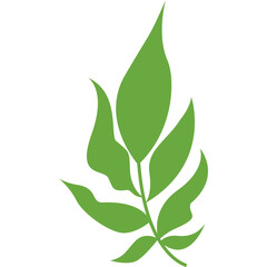 Leaf Shape Minimalist