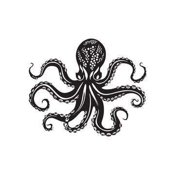 Octopus Image Vector 