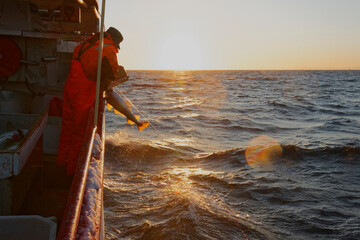 Early morning on the sea; Fisherman on his boat catches cod. Lofoten, Northern Norway. 