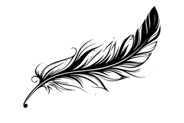 Feather engraved in sketch style isolated on white background. Vintage hand drawn ink sketch. - obrazy, fototapety, plakaty