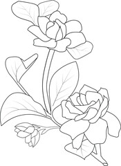 encil gardenia flower drawing, botanical gardenia drawing, realistic gardenia flower drawing, tattoo jasmine flower drawings, minimalist magnolia tattoo designs, jasmine flower vector art