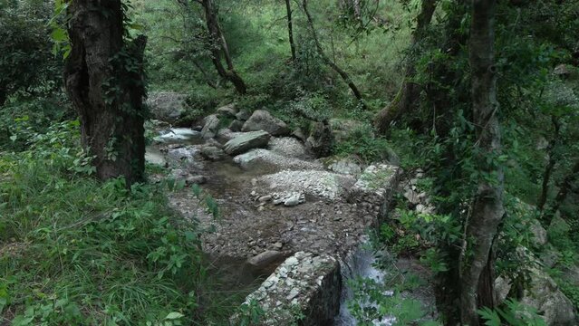 Immerse yourself in the mesmerizing beauty of water as it gracefully flows through the lush forests of Uttarakhand.4k footage