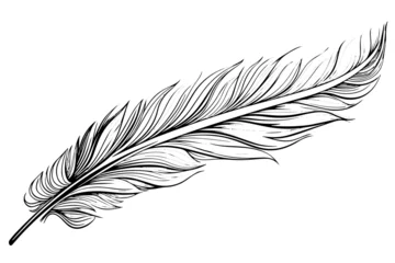 Fotobehang Feather engraved in sketch style isolated on white background. Vintage hand drawn ink sketch. © Artem