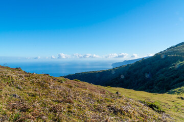 Fanal Forest Panoramic Views at Madeira