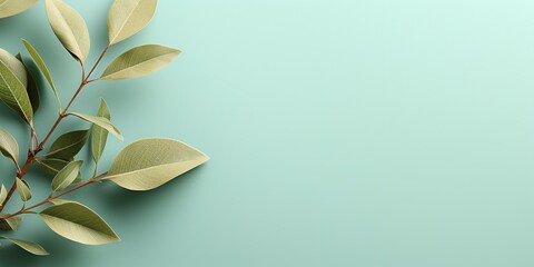Mockup leaf of tree and plant. Ecology, bio and natural products concept, Close up view of leaves composition, minimal style