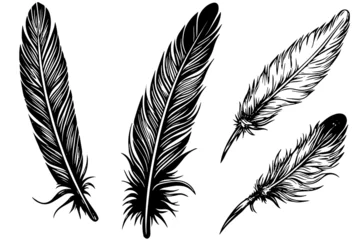 Fotobehang Set of feather engraved in sketch style isolated on white background. Vintage hand drawn ink sketch. © Artem