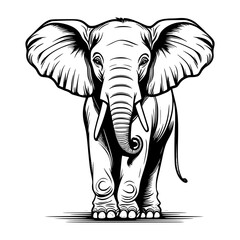 elephant cartoon illustration