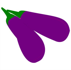 eggplant flat design icon vector
