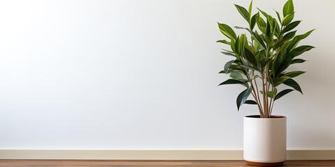 A wooden frame on a white wall with a plant in the pot on the side