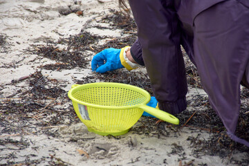 The volunteers to collect the pellets on the beaches of Galicia use strainers, buckets, gloves