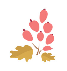 Vector berry. Branch with berries. Organic food. Autumn element for decoration. Autumn element illustration. Cartoon style. Decoration for any design.