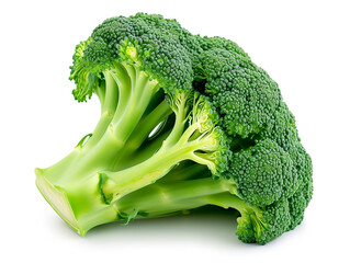 The broccoli isolated on white background. Minimalist style. 