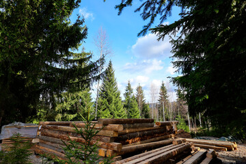 Stages of wood assembly of wooden log house at a construction base into the forest.