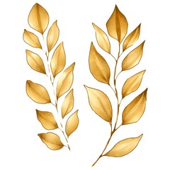 create a hand drawn watercolor clipart of a gold leaves, white background, 4k