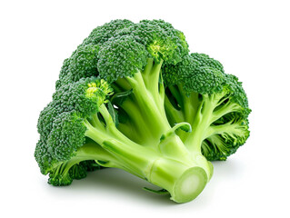 The broccoli isolated on white background. Minimalist style. 