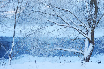 Winter specific. Winter wonderland. Snow-blanketed countryside, emanating the calm and serenity of a winter day. Snow-covered trees by the river.