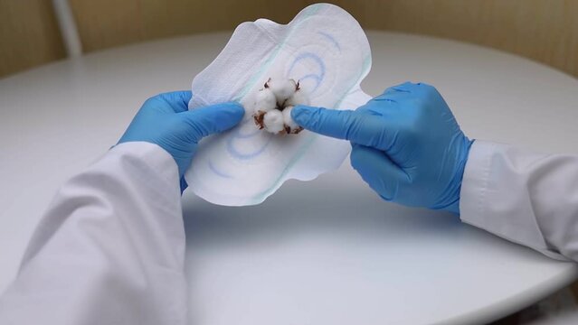 Sanitary napkin and cotton plant flower. A concept that shows the presence of plastic additives in sanitary pac, which cause redness, rash, and diaper rash in the female genital organs. 