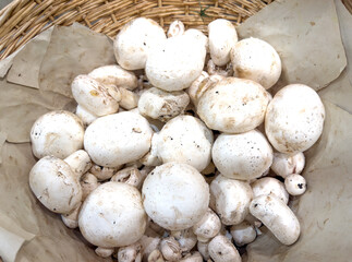 choosing champignons for grilling at the grocery store