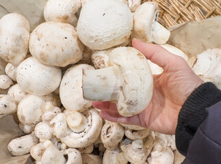 choosing champignons for grilling at the grocery store