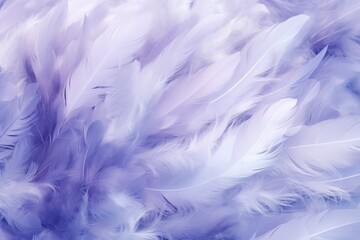  a close up of a bunch of white feathers on a blue and white background with a blurry image of the feathers of a bird in the foreground of the foreground.