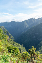 Valley on madeira with a small village