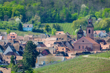 View of the touristic village of Riquewihr among the alsatian vineyards in Alsace region, France
