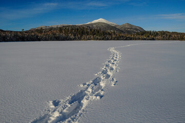Snowshoe Tracks Across Connery Pond With Whiteface Mountain In The Background In The Adirondack Mountains Of New York State