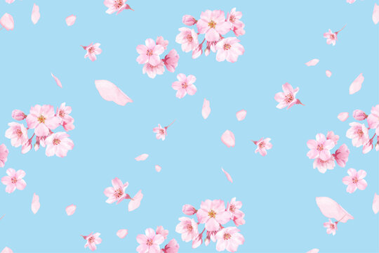 さくらと散る花びらのシームレスパターン背景。水彩イラスト。（ベクター）
