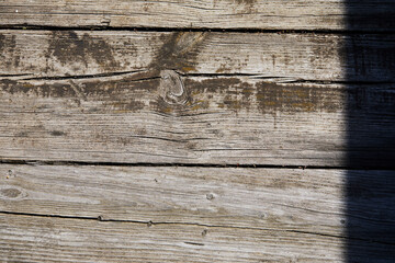 old wooden background, nature texture