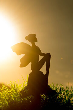 silhouette of a fairy in a field