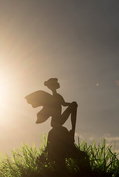 silhouette of a fairy 