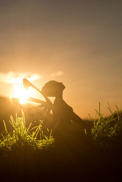 sunset silhouette of a fairy 