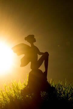 silhouette of a girl in a field
