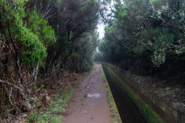 Levada trail on Madeira on a rainy day