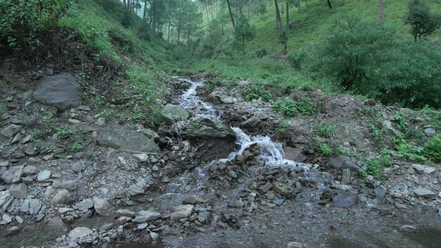 Immerse yourself in the mesmerizing beauty of water as it gracefully flows through the lush forests of Uttarakhand.4k footage