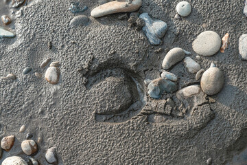 Horse shoe foot hoof mark print at the sand in the beach near stones and pebbles