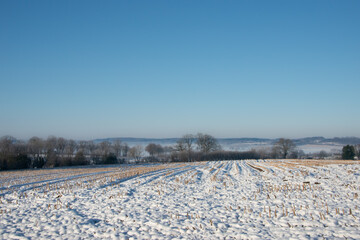 eingeschneites Stoppelfeld an einem kalten Wintermorgen in Schleswig-Holstein