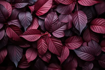 Foto op Canvas  a bunch of purple leaves that are on top of a bed of red and purple leaves that are on top of a bed of red and purple leaves that are on top of the bed of purple leaves. © Nadia