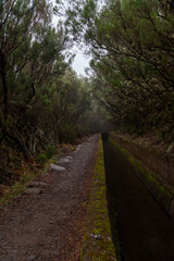 Fototapeta na wymiar Levada on Madeira during a foggy day