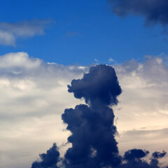 Clouds in form of animals - 705767160