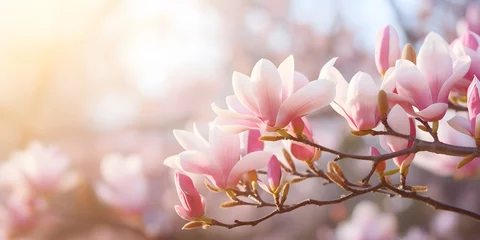 Schilderijen op glas flowering magnolia blossom on sunny spring background, close-up of beautiful springtime flora, floral easter background concept with copy space © Ziyan Yang