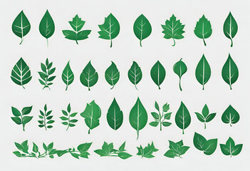 Leaves collection eco, Green leaves flat icon set, nature illustration and backgrounds, v3