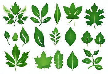 Leaves collection eco, Green leaves flat icon set, nature illustration and backgrounds, v2