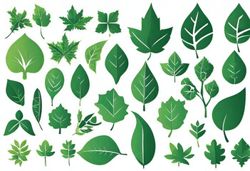 Leaves collection eco. Green leaves flat icon set illustration. - obrazy, fototapety, plakaty