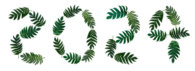 2024 Write numbers with Monstera pinnatipartita (Siam Monstera) large green leaves that hollow...