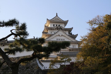 Obraz premium Himeji Castle and clear blue sky viewed from east side, in Himeji, Japan